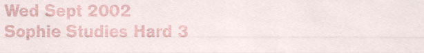 Sophie Studies Hard
